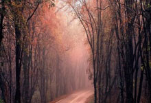 湖人内线支柱已经足够努力了，毕竟他也只是球权有限的底薪球员？.