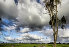 九游：早报：巴萨3-0奥萨苏纳，豪取西甲8连胜.