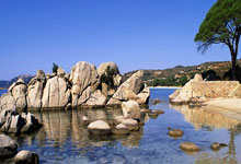 九游:罗本&卡西当选贝肯鲍尔杯MVP&最佳门将,7.5万欧收益将捐出.